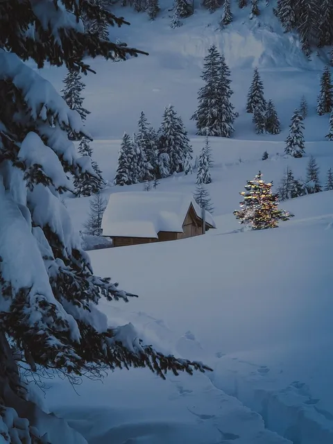 Activités & Expériences - espace finlandais sous la neige