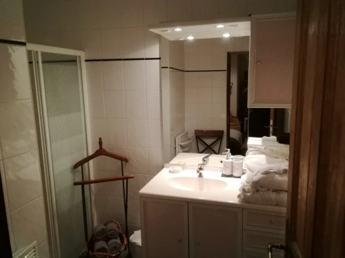 grande douche avec lavabo